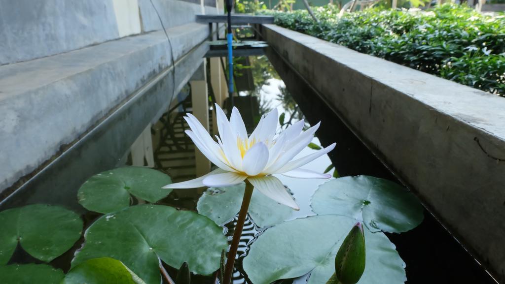 Lullaby Boutique Resort Thap Sakae Zewnętrze zdjęcie
